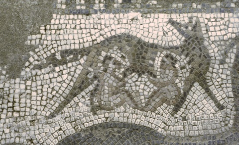 Detail of a floor mosaic from a Roman villa in Carthage showing the wolf and twins of Rome's foundation story.